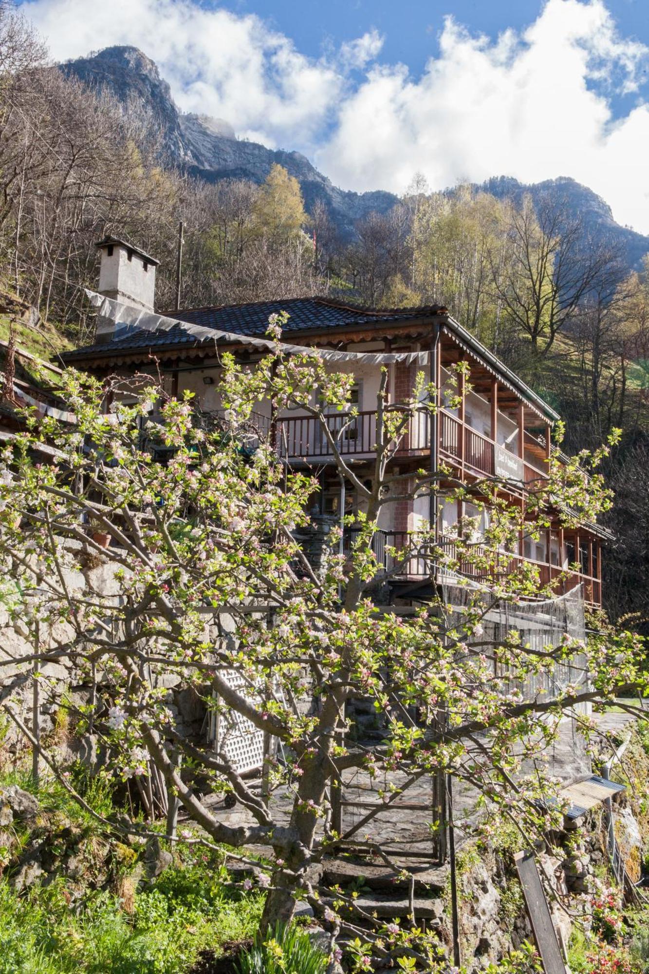 Bed And Breakfast Da Toldo Russo Zewnętrze zdjęcie